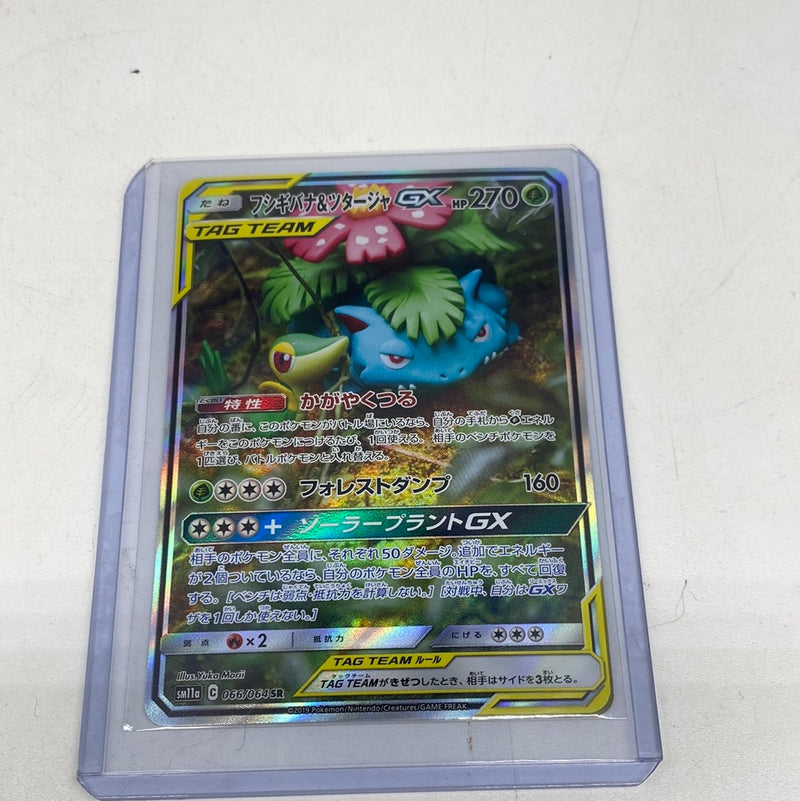 Venusaur & Snivy GX - SM219 Pokemon Sun & Moon 066/064SR