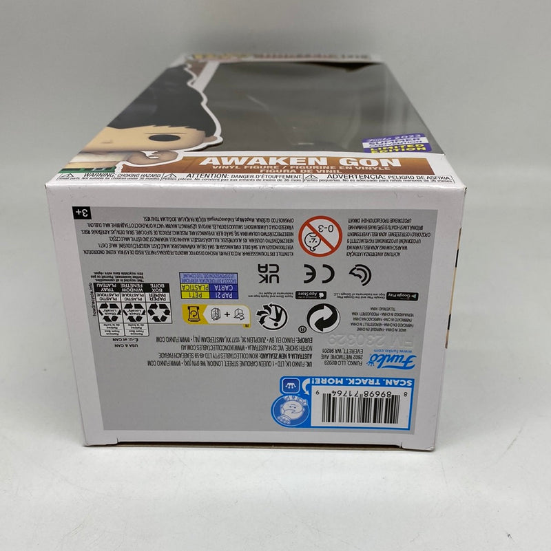 Funko Pop! Animation Hunter X Hunter: Awaken Gon