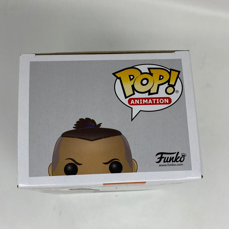 Funko Pop! Animation Nickelodeon Avatar the Airbender: Sokka