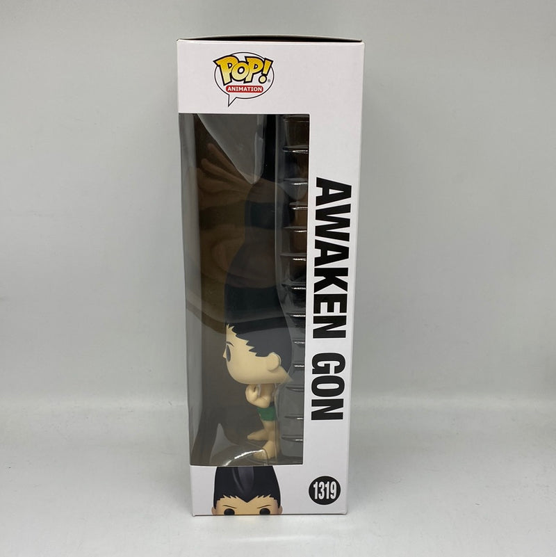 Funko Pop! Animation Hunter X Hunter: Awaken Gon