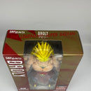 SH Figuarts Dragon Ball Z Broly 2014 With Shipper