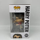 Funko Pop! Wizarding World - Harry Potter