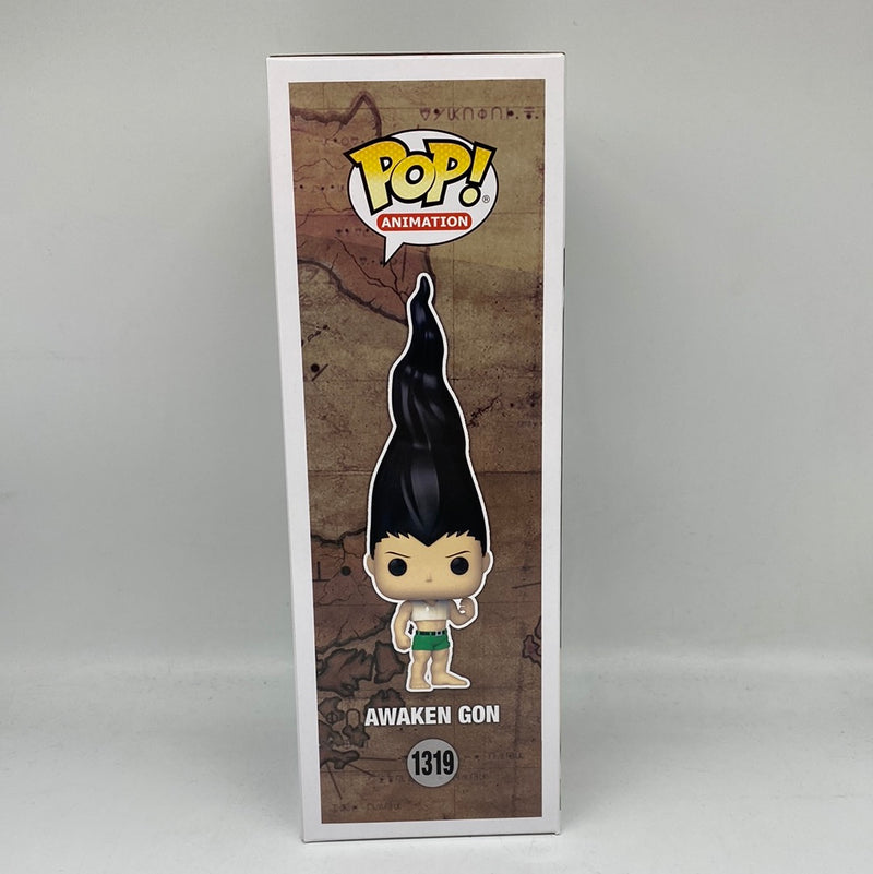 Funko Pop! Animation Hunter X Hunter: Awaken Gon