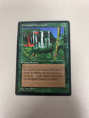 Concordant Crossroads Magic Near Mint Legends Favorable Situations Near Mint (Italian)