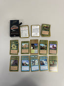 Magic The Gathering World Championship Theme Deck 2002 Raphael Levy