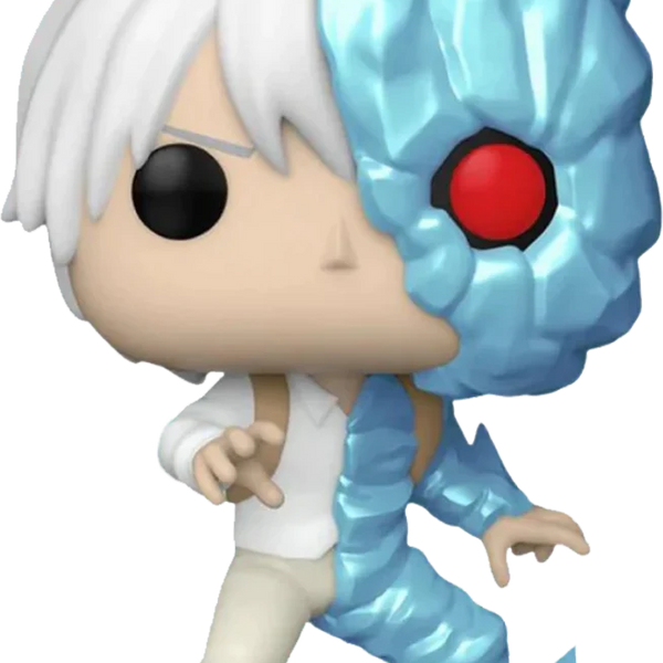 Shoto 2024 pop funko