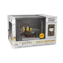 Potions Class - Professor Slughorn CHASE