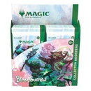 Magic The Gathering: Bloomburrow - Collector Booster Box