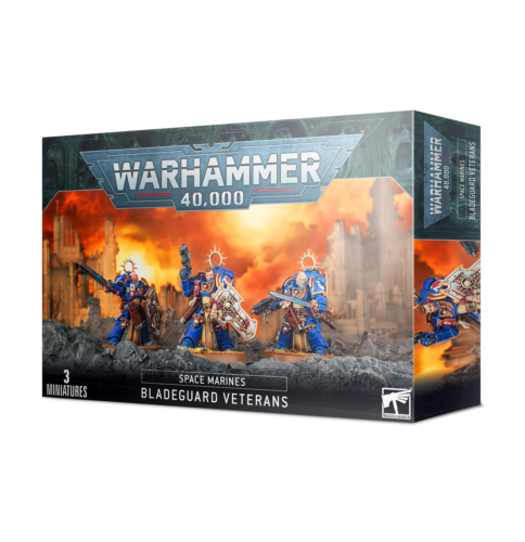 Warhammer 40K: Space Marines: Bladeguard Veterans