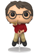 Harry Potter Pop! Vinyl Figure