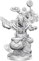 D&D Frameworks: Night Hag - Unpainted and Unassembled