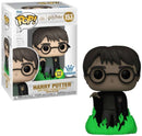 Harry Potter (Glow in the Dark Exclusive)