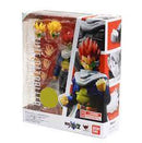 S.H.Figuarts Time Patroller